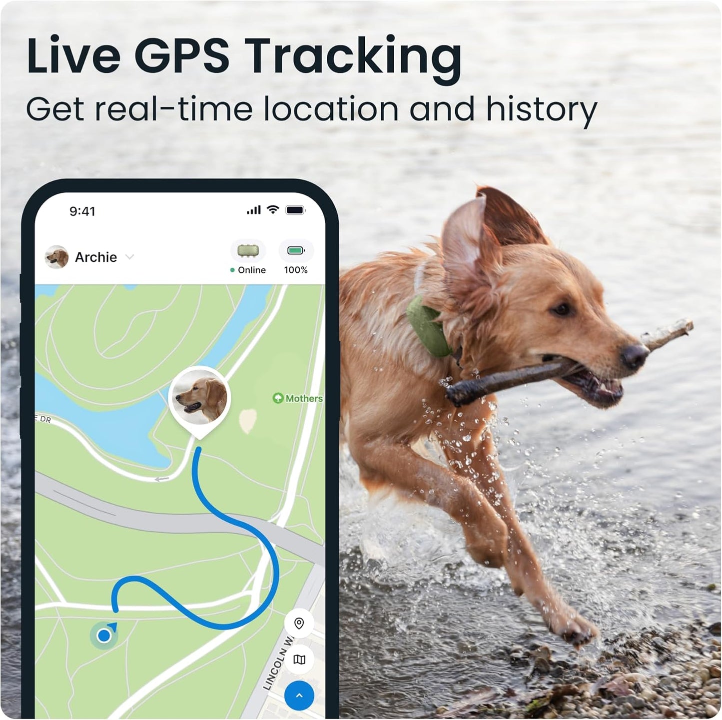 XL GPS Dog Tracker (50 Lbs+) | Real-Time Pet Location Tracker | Health & Wellness Alerts | Virtual Fence for Dogs | Dog Collar Attachment (Green)