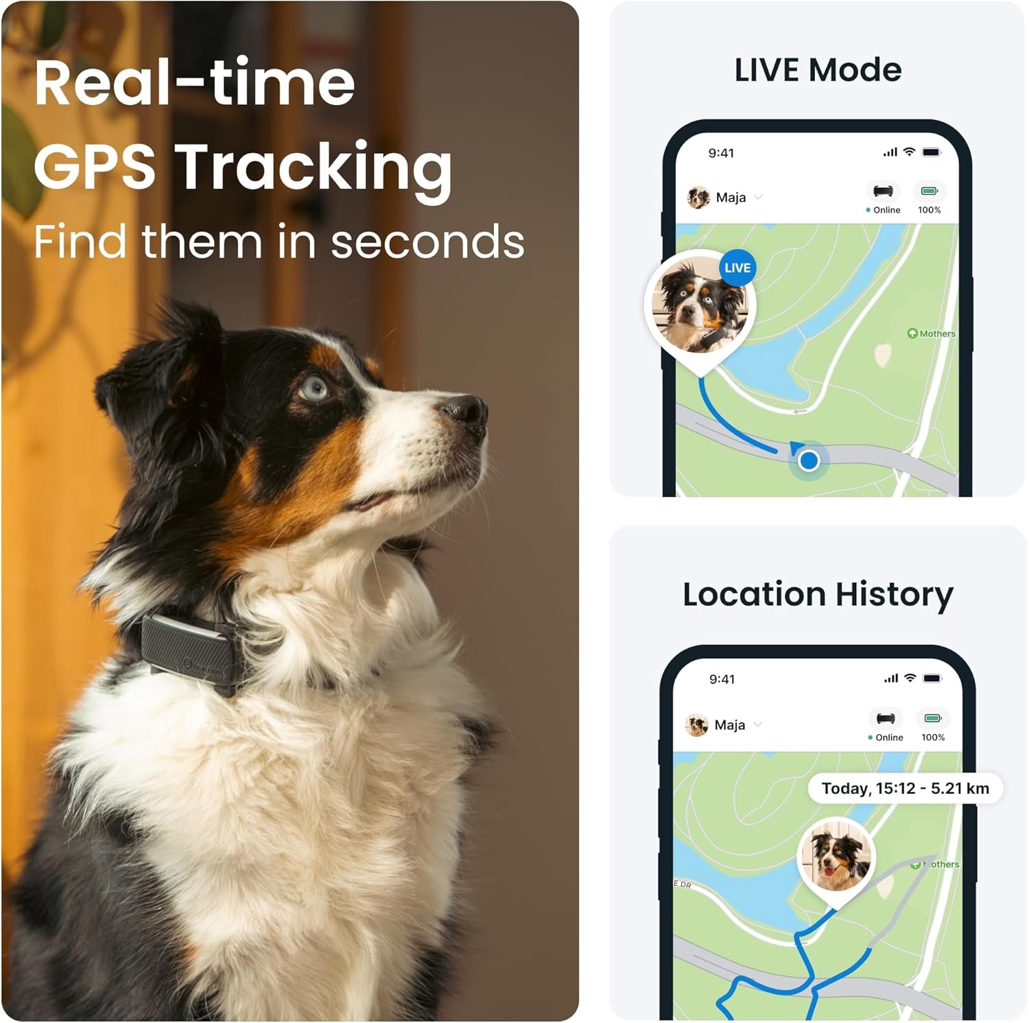 GPS Dog Tracker (2025 Release) | Real-Time Pet Location Tracker | Health & Wellness Alerts | Virtual Fence for Dogs | Bark Monitoring | Dog Collar Attachment (Black)